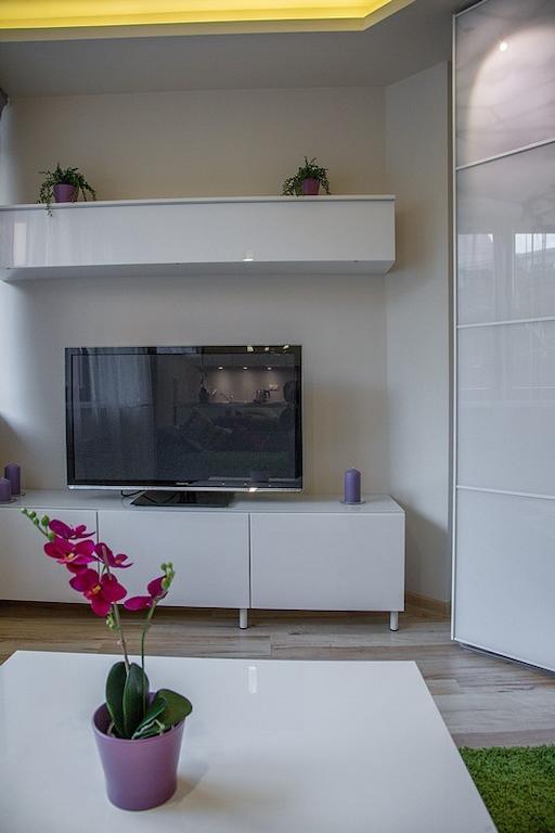 Oliwkowy, Apartament Widokowy Z Duzym Tarasem Zakopane Eksteriør bilde